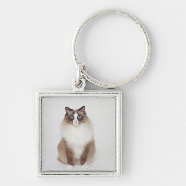 Chaveiro Gato peludo grande (Frente)