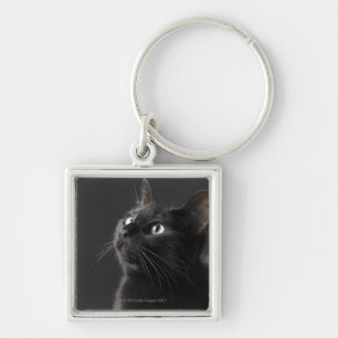 Chaveiro Gato preto contra o fundo preto, fim-acima