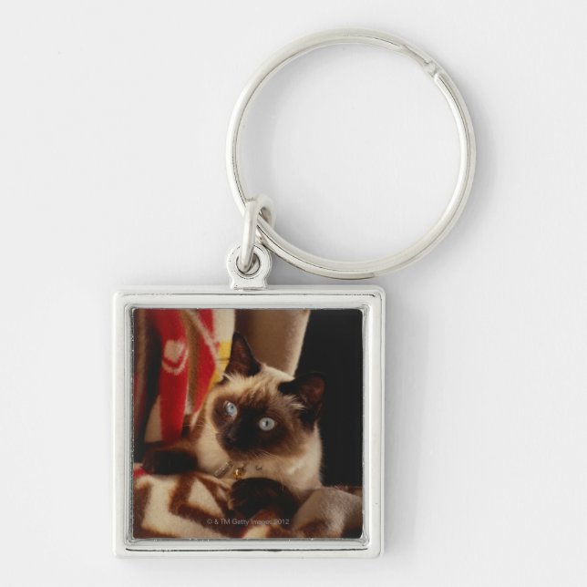Chaveiro Gato que espreita através da edredão (Frente)