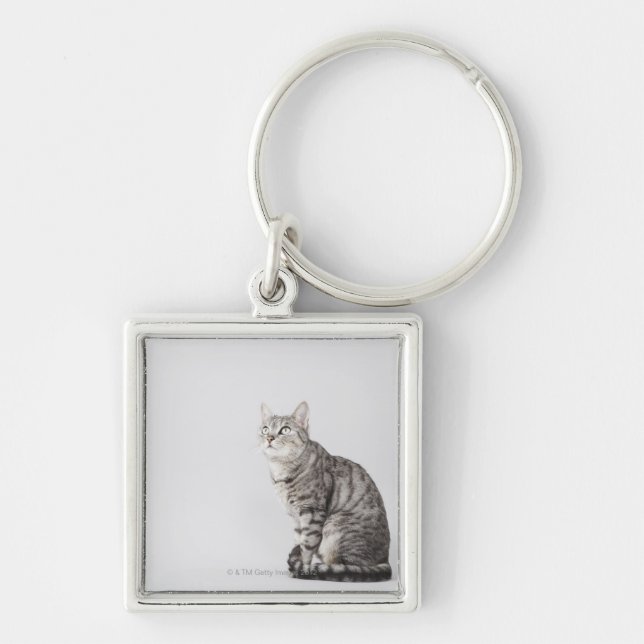 Chaveiro Gato que olha acima (Frente)
