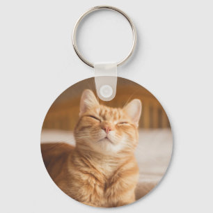 Chaveiro Gato sonolento das imagens   de Getty