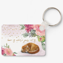 Gato Sonolento, Gato Laranja, Gatinha, Gatinha, Pe