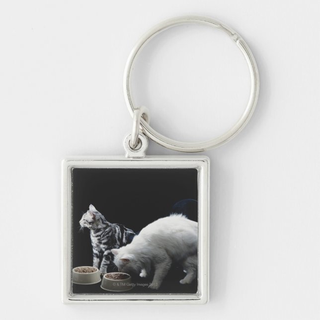 Chaveiro Gatos com a bacia de comida (Frente)