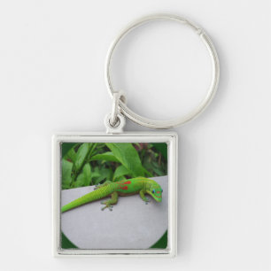 Chaveiro Gecko do Dia da Pó Dourado - Audiência e Gecko