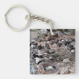Chaveiro Geese in the Park Key Chain