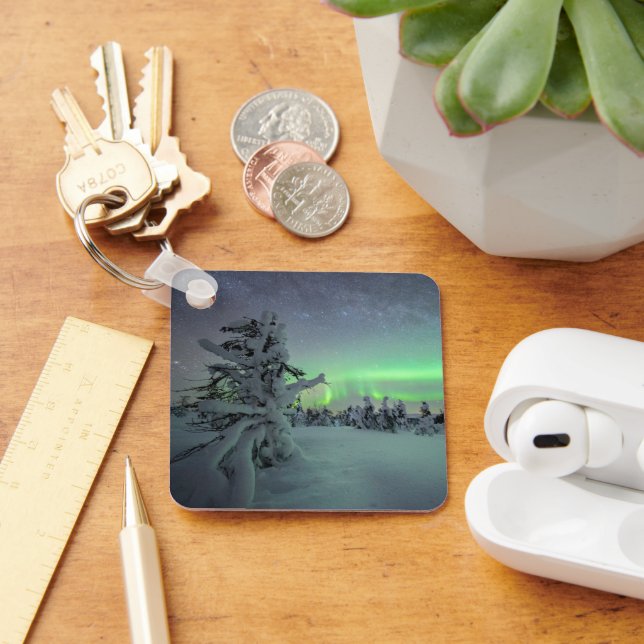 Chaveiro Gelo e neve | Parque Nacional de Pallas-Yllastuntu (Mesa)