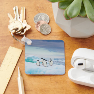 Chaveiro Gelo e neve   Pinguins de adenda Antártica