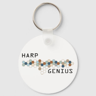 Chaveiro Gênio da harpa