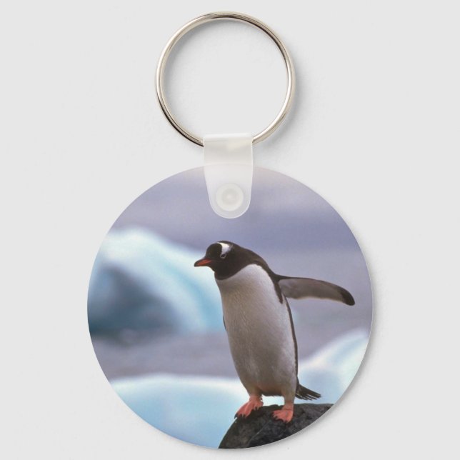 Chaveiro Gentoo Penguin (Frente)