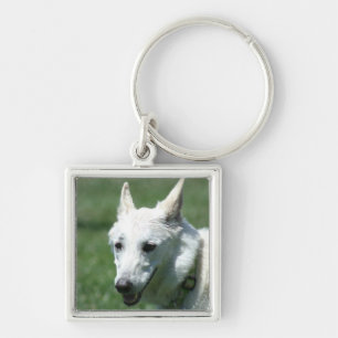 Chaveiro German shepherd branco