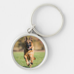 Chaveiro German shepherd em execução