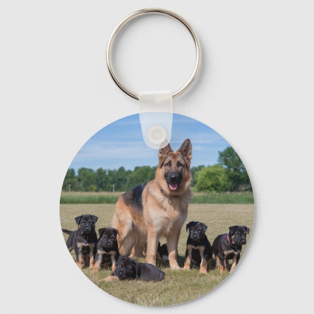 Chaveiro German shepherd personalizável com uppies adaptáve (Frente)