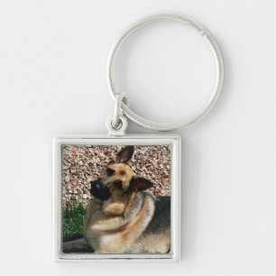 Chaveiro German shepherd Quizzical