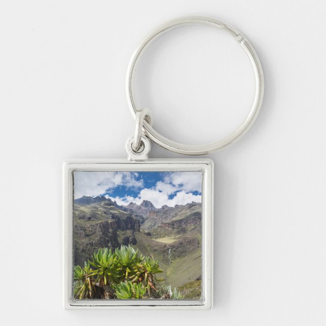 Chaveiro Giant Groundsel ou Dendrosenecio (Frente)