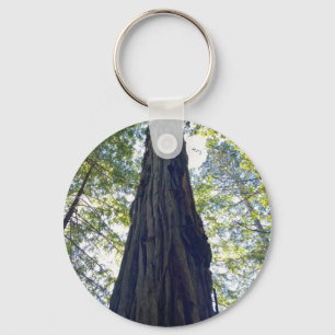 Chaveiro Giant Neverending Redwood Tree