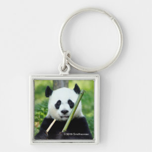 Chaveiro Giant Panda Holding Bamboo