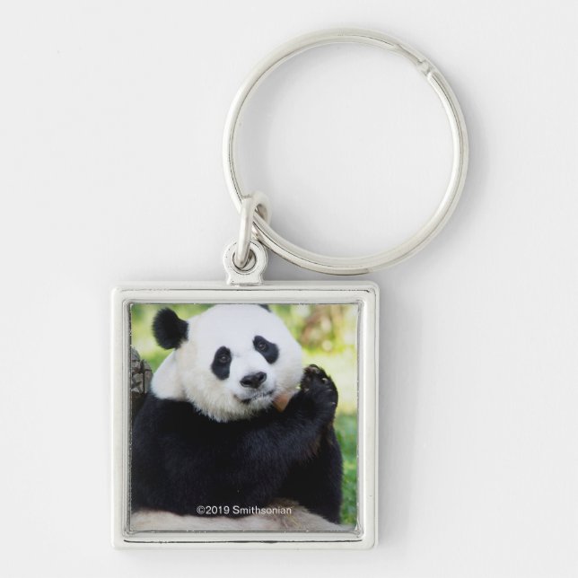 Chaveiro Giant Panda Sitting (Frente)
