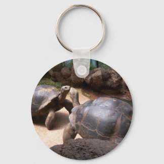 Chaveiro Giant Turtle Kiss