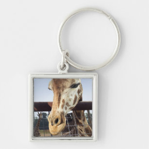 Chaveiro Girafa