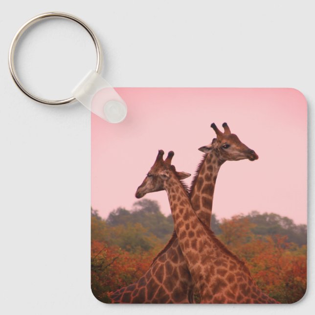 Chaveiro Girafas em pé em mopani com céu rosa (Frente)