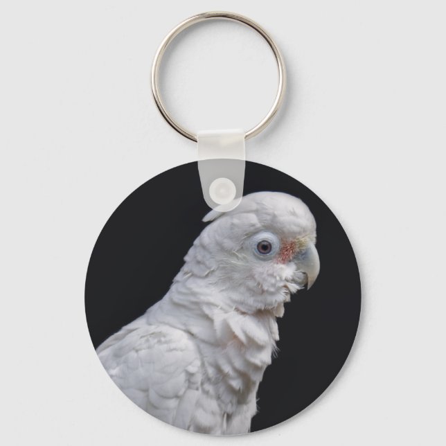 Chaveiro Goffin's Cockatoo Keyring (Frente)