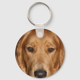 Chaveiro Golden retriever