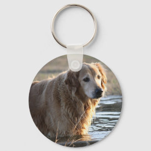 Chaveiro Golden retriever na água