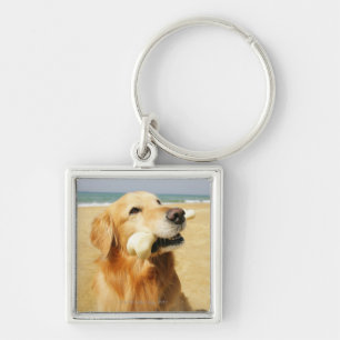 Chaveiro Golden retriever que come o osso