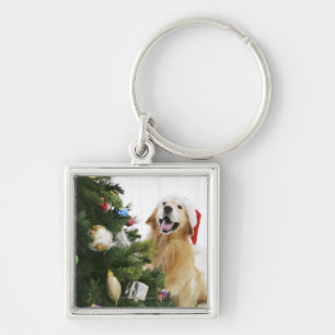 Chaveiro Golden retriever que olha a árvore de Natal