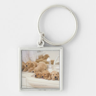 Chaveiro Golden retriever; são um relativamente moderno e