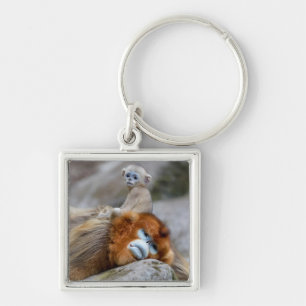 Chaveiro Golden Snub-nosed Monkey Dad with Baby