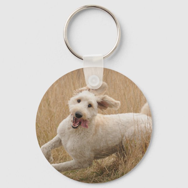 Chaveiro Goldendoodle Passa Pela Grama (Frente)