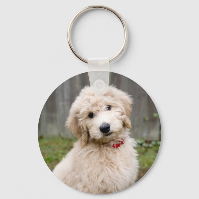Chaveiro Goldendoodle Puppy Senta-Se Em Grama (Frente)