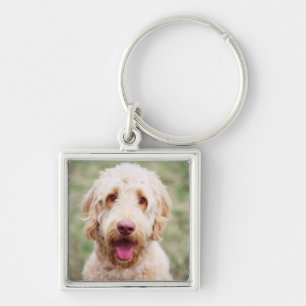Chaveiro Goldendoodle sorrindo