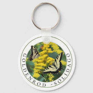 Chaveiro Goldenrod Solidago e Tiger Swallowtail Butterfly