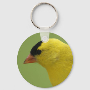 Chaveiro Goldfinch