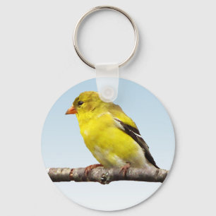 Chaveiro Goldfinch