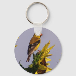 Chaveiro Goldfinch americano no girassol