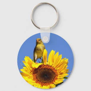 Chaveiro Goldfinch americano no girassol