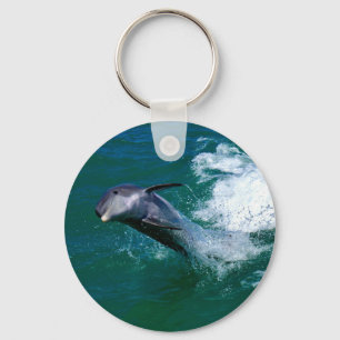 Chaveiro Golfinho saltando e dançando
