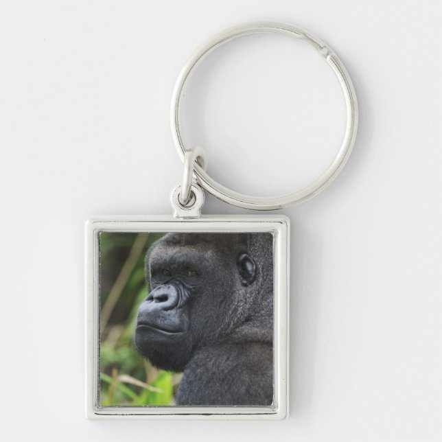 Chaveiro Gorila-de-costas-silverback, Gorila Cativo (Frente)