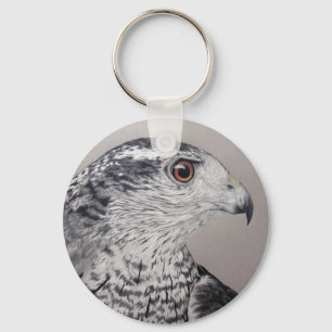 Chaveiro Goshawk do norte