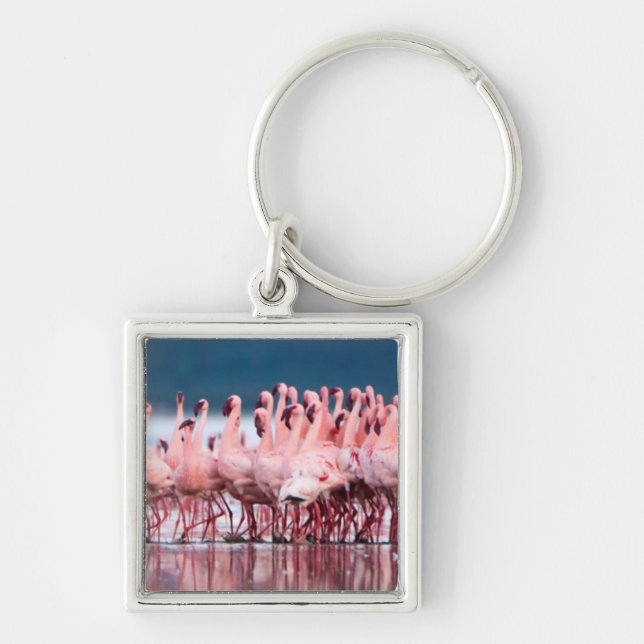 Chaveiro Grande Grupo de Flamingos Menores (Frente)