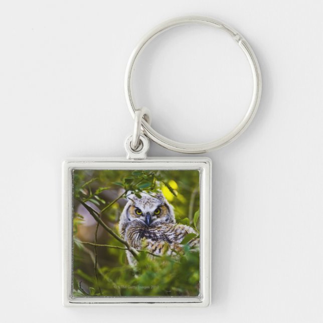 Chaveiro Grande Owlet Horned (Frente)
