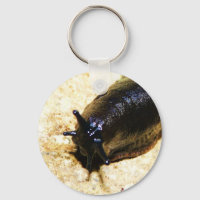 Grande Slug Preto