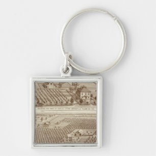 Chaveiro Grangeville, fazendas de Armona