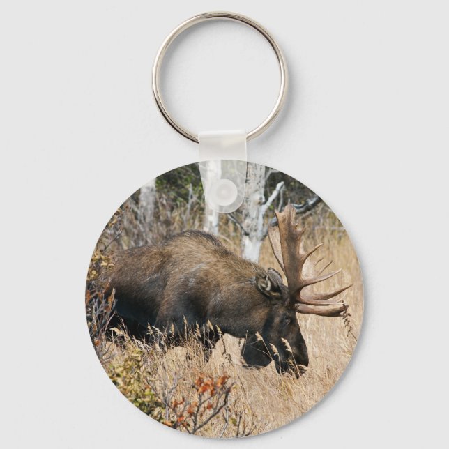 Chaveiro Grazing Moose (Frente)