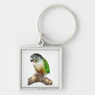 Chaveiro Green Cheek Conure