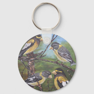 Chaveiro Grosbeaks de noite