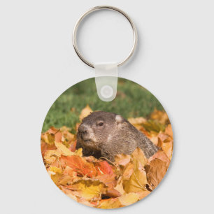 Chaveiro Groundhog
